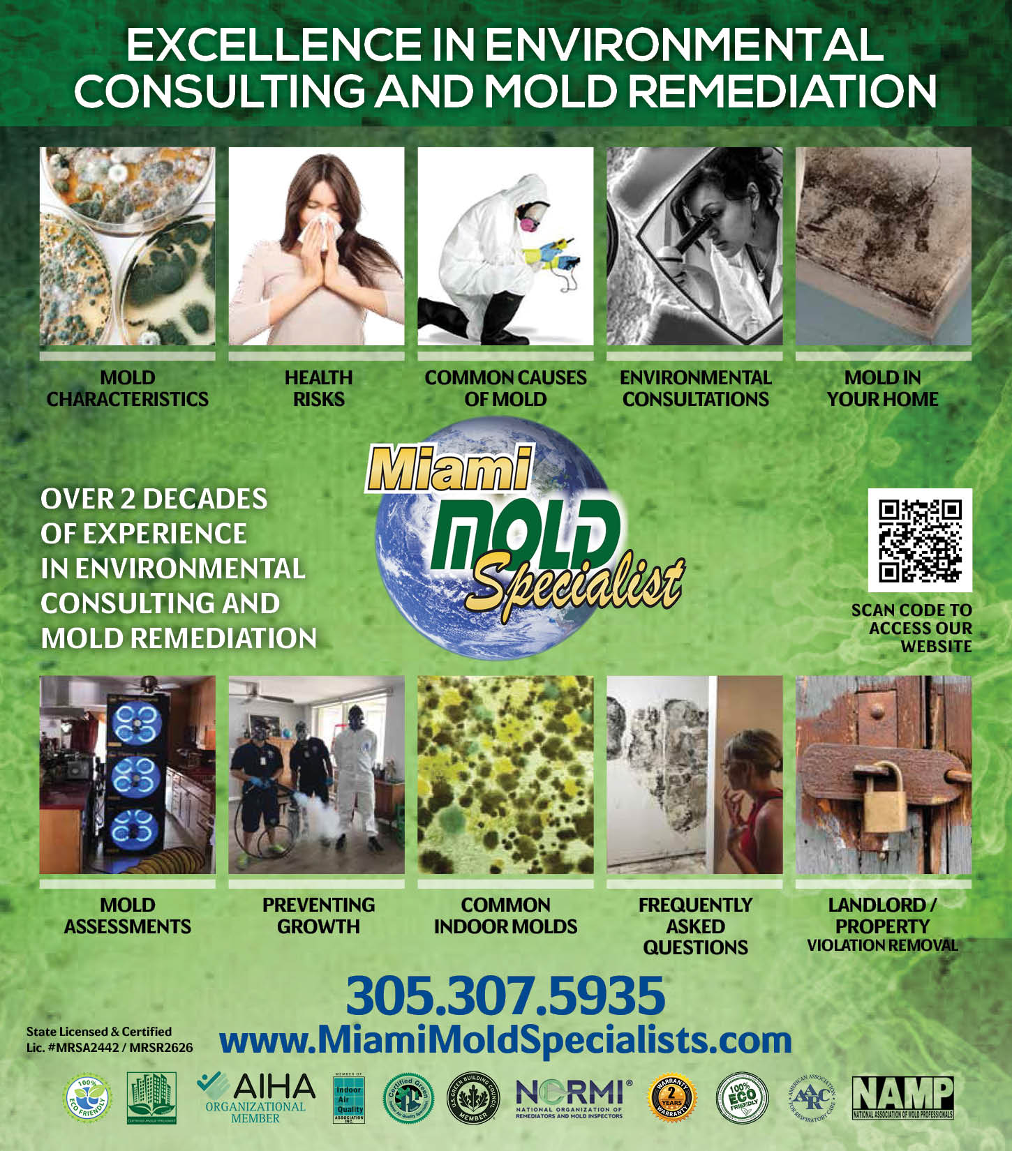 Mold Testing Services Missoula: Black Mold Testing Kit Home Missoula