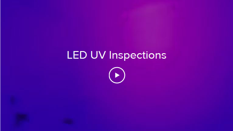 UV Light Mold Assesments