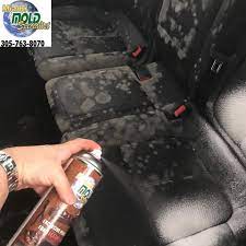 Car interior after professional mold removal clean and fresh