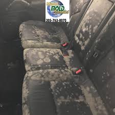 Mold growing on car seat fabric close-u