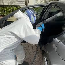 Technician inspecting car interior for mold