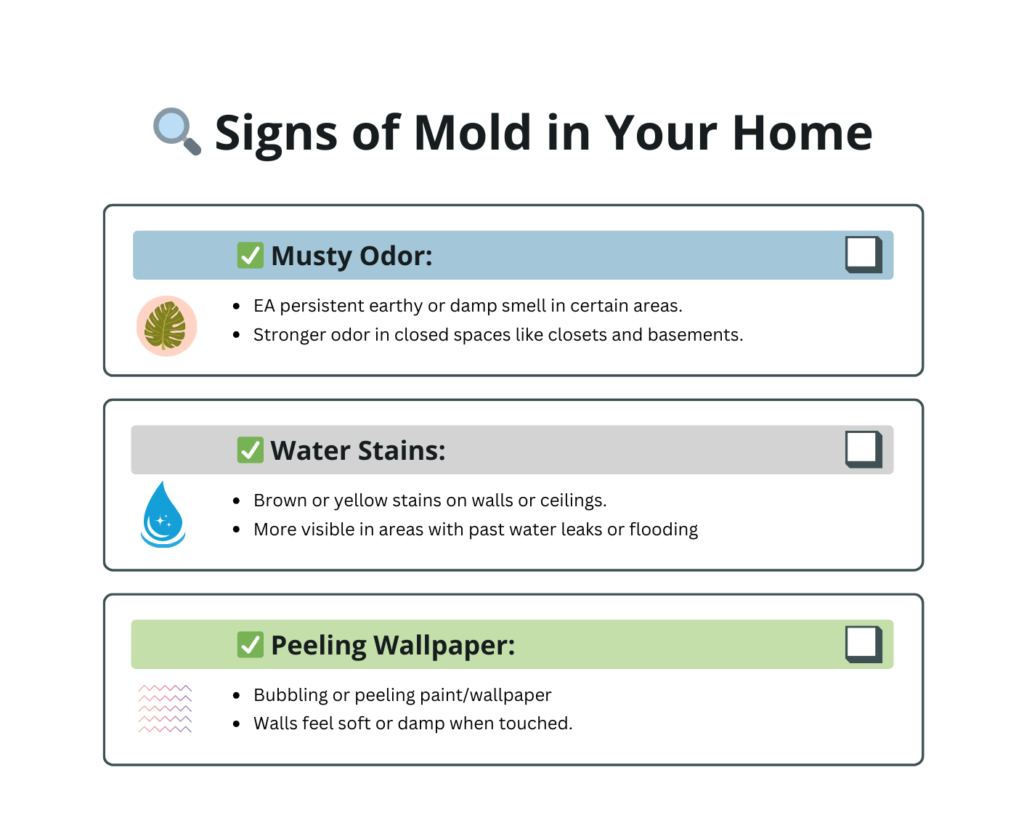 Signs of Mold in your Home Checklist