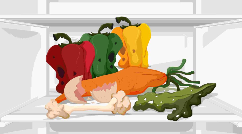 Food Items in Freezer