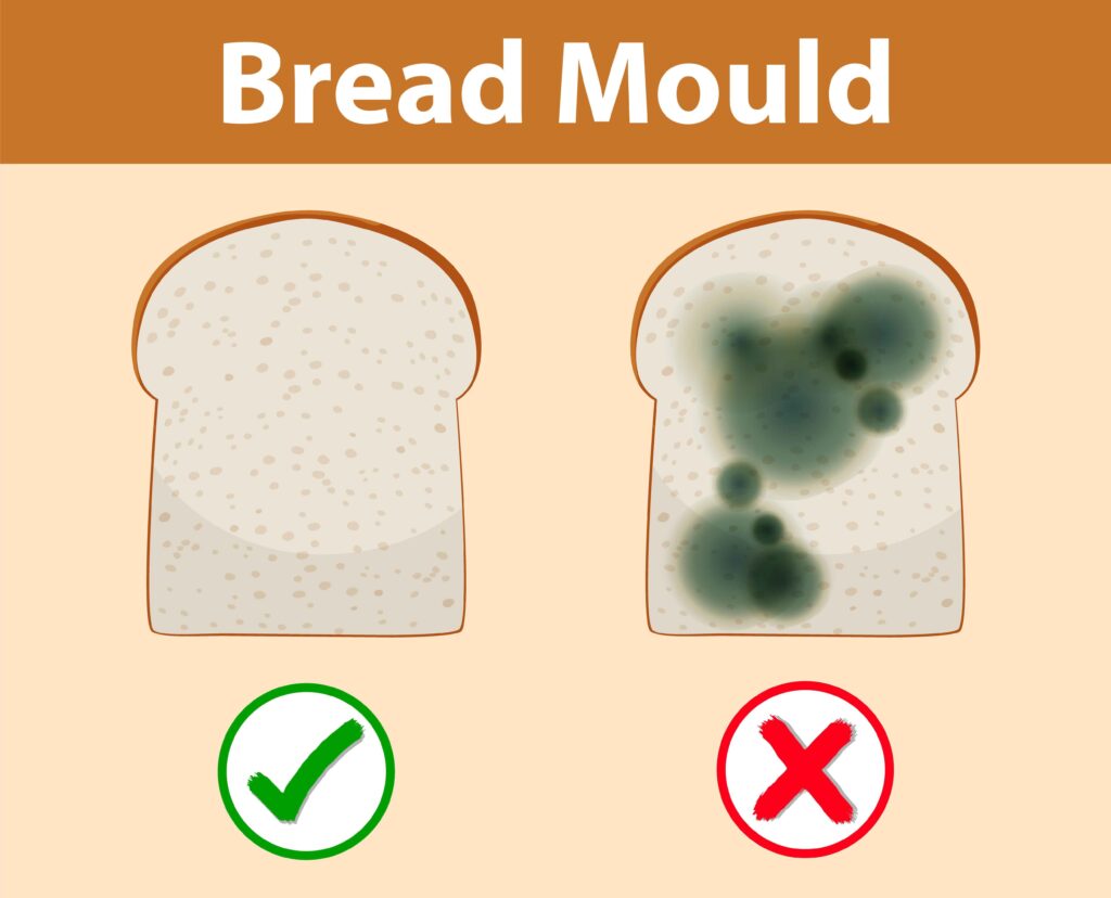 Surface VS Deep Mold