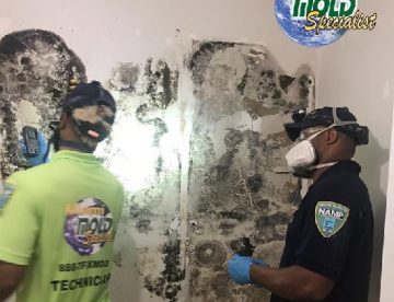 Mold growth is common in Florida homes due to constant humidity.