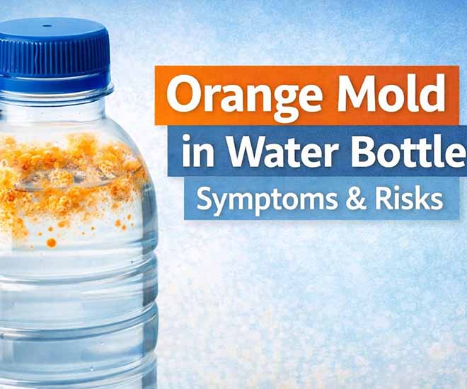 Orange mold in water bottle symptoms illustrated with orange residue inside a water bottle