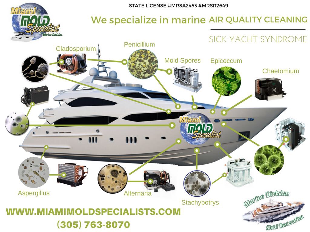 Storing Your Boat Or Yacht for the Winter? | Miami Mold