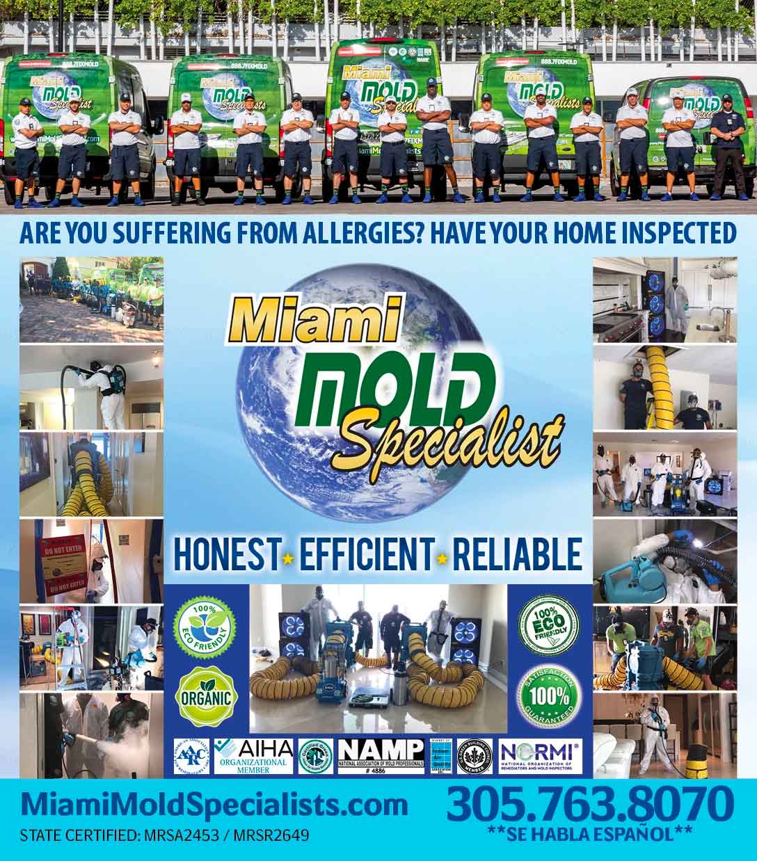 exclusivemagnifyinginspectionglasses3 Miami Mold