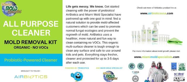 Mold Cleaning Kit