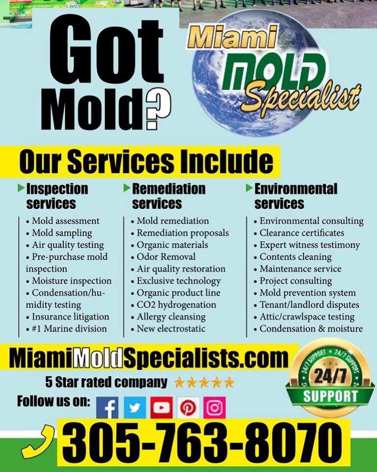 1 for Mold Removal in Miami, Florida - 5-Star Rated and Reviewed