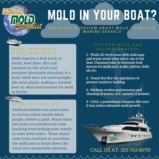 mold-in-yacht-miami
