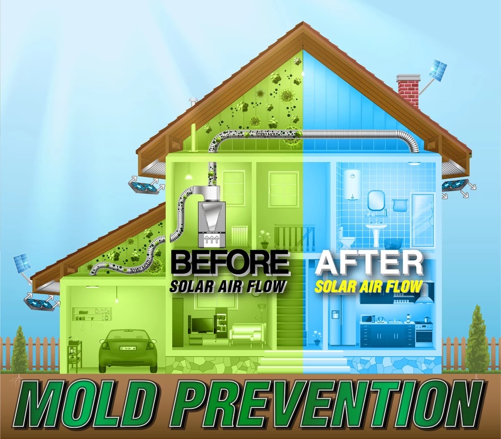 Mold Prevention Methods