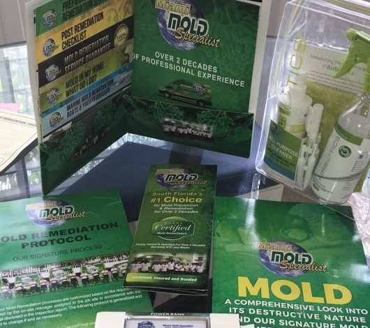 mold-insurance-claims-south-fl