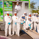 co2 mold-removal services