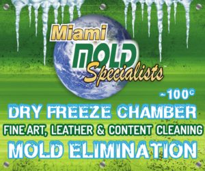 mobile-co2-dry-cleaners-miami