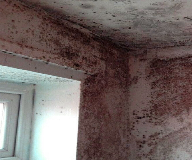 Causes of Mould on Bedroom Ceiling