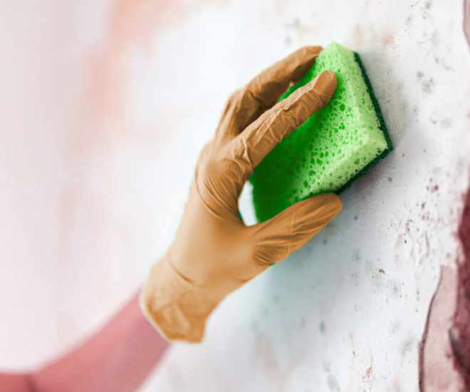 The Best Moisture Absorbers To Prevent Mold, Mildew and Allergens