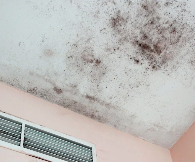 How to Permanently Remove Mold From Bathroom Ceiling With Vinegar