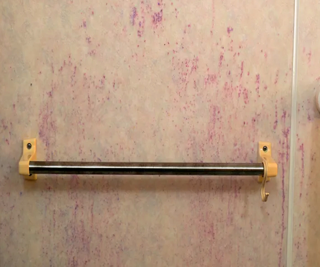 How to Get Rid of Pink Mold 2024