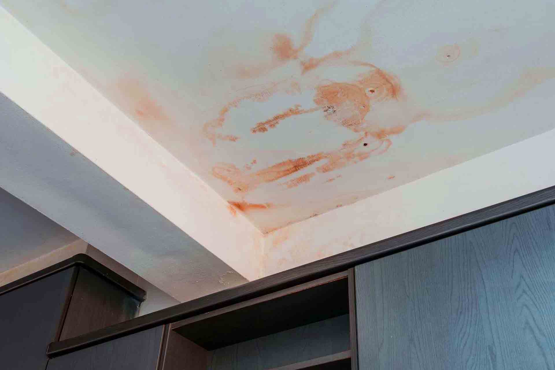 Mold and water damage on a ceiling caused by a roof leak in a California home, a common issue for homeowners insurance claims.