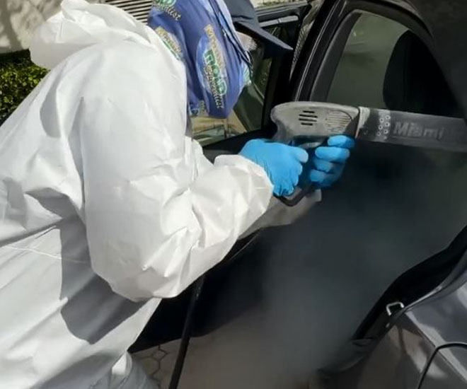 Best Mold Remover for Car Exterior